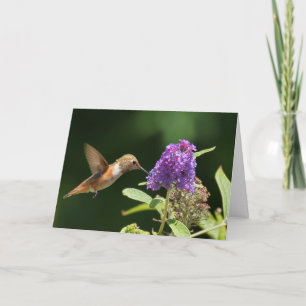Geburtstagskarte mit Kolibri Karte