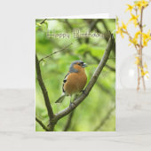 Geburtstagskarte mit männlichen Ketten (Fringilla Karte (Gelbe Blume)