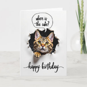 Geburtstagskarte mit neugieriger Katze Karte