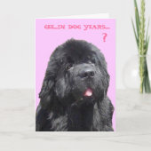 Geburtstagskarte mit Newfy Karte (Vorderseite)