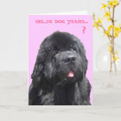 Geburtstagskarte mit Newfy Karte (Gelbe Blume)