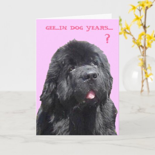 Geburtstagskarte mit Newfy Karte (Gelbe Blume)