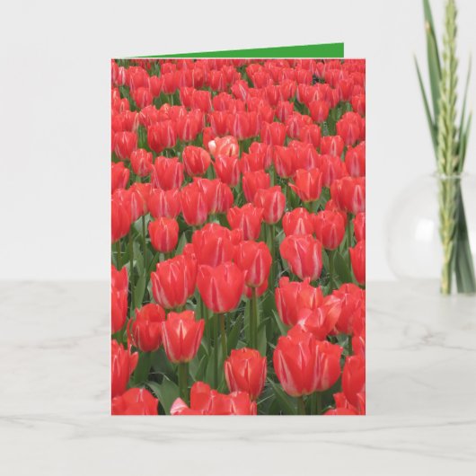 Geburtstagskarte mit Tulpen Karte (Vorderseite)