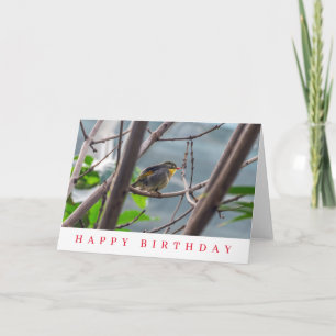 Geburtstagskarte mit Vogel im Baum Karte