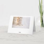 Geburtstagskarte mit weichen, goldgelben Luchpfote Karte (Rückseite)