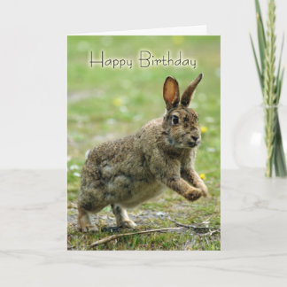 Geburtstagskarte mit wildem Kaninchen Karte