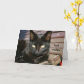 Geburtstagskarte mit wunderbarer schwarzer Katze Karte (Gelbe Blume)