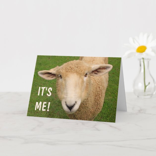Boofle Geburtstagskarte Für Verlobte - Niedliches Hundedesign Mit Blumenstrauß & Goldfolie