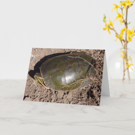 Geburtstagskarte "Painted Turtle" Karte (Gelbe Blume)