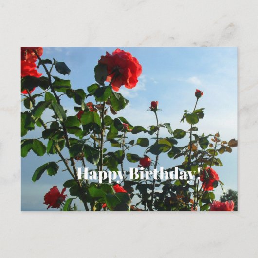 Geburtstagskarte Postkarte (Vorderseite)