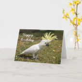 Geburtstagskarte Schwefel Cockatoopapagei mit Karte (Gelbe Blume)