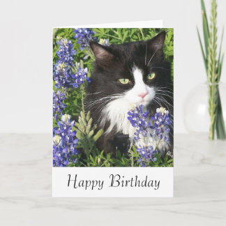 Geburtstagskarte Tuxedo Cat in Texas Bluebonnets Karte