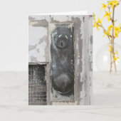 Geburtstagskarte "Upper Bluff Doorknob" Karte (Gelbe Blume)