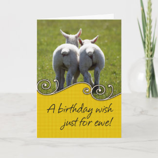 Geburtstagskarte - Zwei Baby Lambs Karte