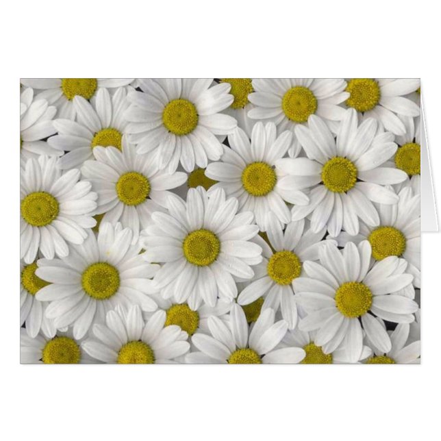 Geburtstagskarten (Vorderseite (Horizontal))