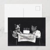 Geburtstagskätzchen Postkarte (Vorne/Hinten)