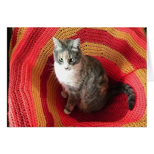 Geburtstagskatze auf der afghanischen Deckkarte (Vorderseite (Horizontal))