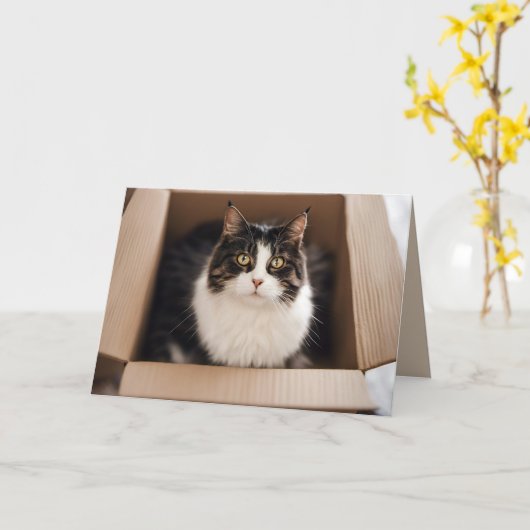 Geburtstagskatze in Faltschachtel Karte (Gelbe Blume)