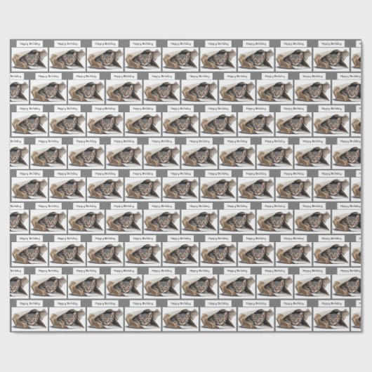 Geburtstagskatze in Papiertasche Geschenkpapier (Flach)