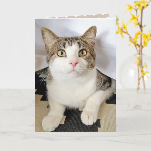 Geburtstagskatze Karte (Gelbe Blume)