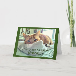 Geburtstagskatzen Nickerchen Karte