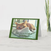 Geburtstagskatzen Nickerchen Karte (Vorderseite)