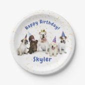 Geburtstagskind feiern | Blau Pappteller (Vorderseite)