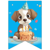 Geburtstagskind Wimpelkette (Erste Fahne)