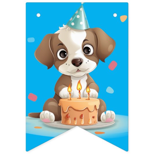 Geburtstagskind Wimpelkette (Erste Fahne)