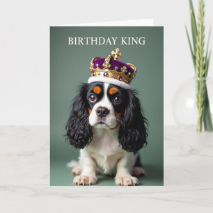 Geburtstagskönig-Hundekarte Karte