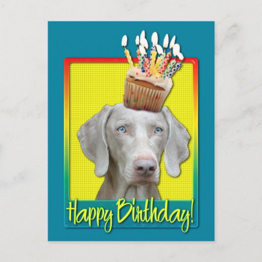 Geburtstagskuchen - Weimeraner Postkarte (Vorderseite)