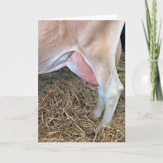 Geburtstagskuh auf Heu stehend Karte (Vorderseite)