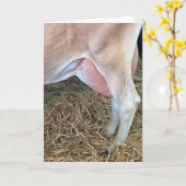 Geburtstagskuh auf Heu stehend Karte (Gelbe Blume)
