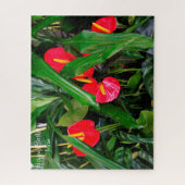 Geburtstagsmumie. Puzzle (Vertikal)