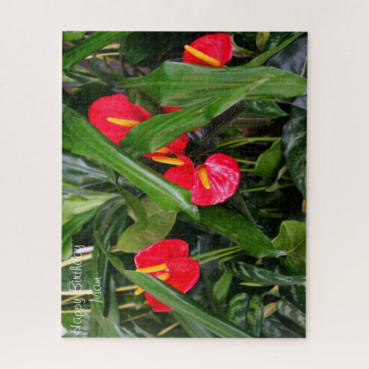 Geburtstagsmumie. Puzzle (Vertikal)