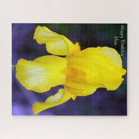 Geburtstagsmumie. Puzzle (Horizontal)