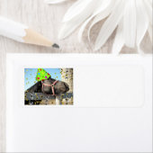 Geburtstagsparferd (Insitu)