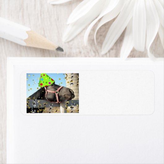 Geburtstagsparferd (Insitu)