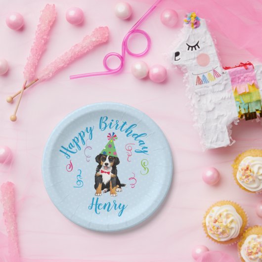 Geburtstagspartei Berner Papierplatte Pappteller (Party)