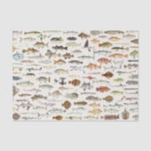 Geburtstagspartei des Fischfangs Seidenpapier (Vorderseite)