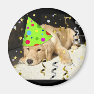 Geburtstagspartei Tier Golden Retriever Magnet