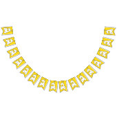 Geburtstagspartei Wimpelkette (Alle)