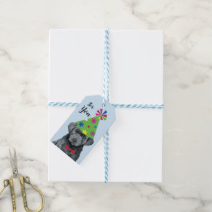 Geburtstagsparty Bouvier des Flandres Geschenketik Geschenkanhänger