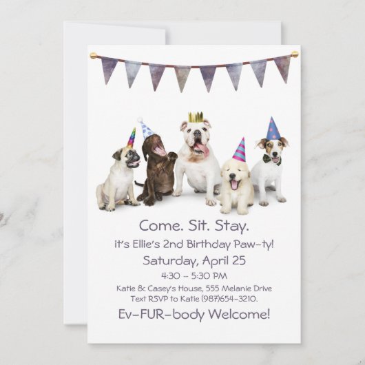 Geburtstagsparty eines Hundes Einladung (Vorderseite)