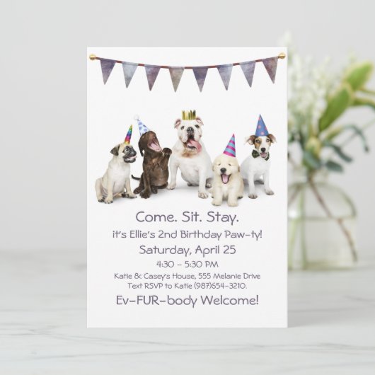 Geburtstagsparty eines Hundes Einladung (Stehend Vorderseite)