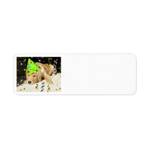 Geburtstagsparty Golden Retriever