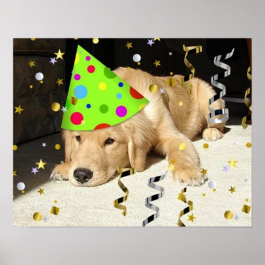 Geburtstagsparty Golden Retriever Poster (Vorne)