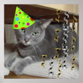 Geburtstagsparty Gray Cat Poster (Vorne)