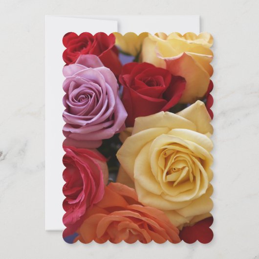 Geburtstagsparty - mehrfarbige Rose Einladung (Rückseite)