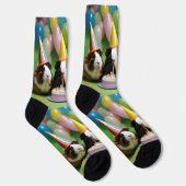 Geburtstagsparty mit Party Guinea Schweine, Socken (Rechts)